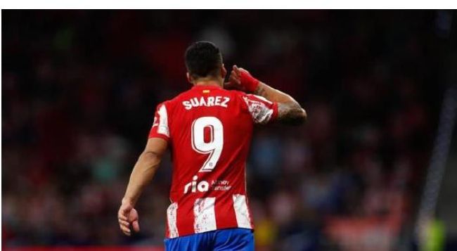 一个释放蝌蚪的网站