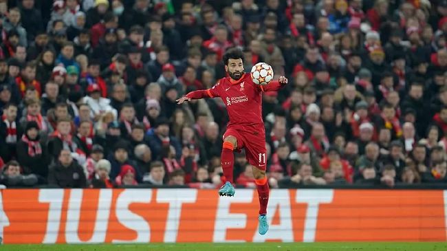 丰满的护士hd高清