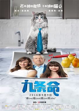 亚洲精品视频专区