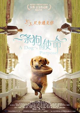 亚洲人视频