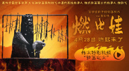 精品一成人岛国片在线观看