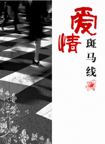 丁香婷婷激情综合