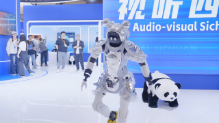 日本aa免费电影